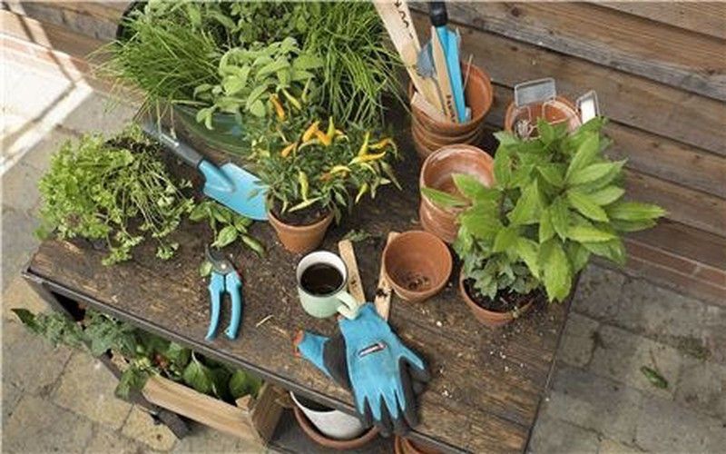 Kit d’iniciació a la jardineria 4 en 1 Gardena