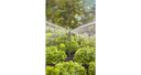 Tubo de extensión para aspersores 5u Gardena 13326-20  - 5