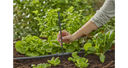 Tubo de extensión para aspersores 5u Gardena 13326-20  - 3