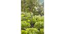 Tubo de extensión para aspersores 5u Gardena 13326-20  - 2
