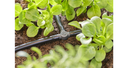 Junta en T 4.6mm 20u Gardena 13211-26  - 5