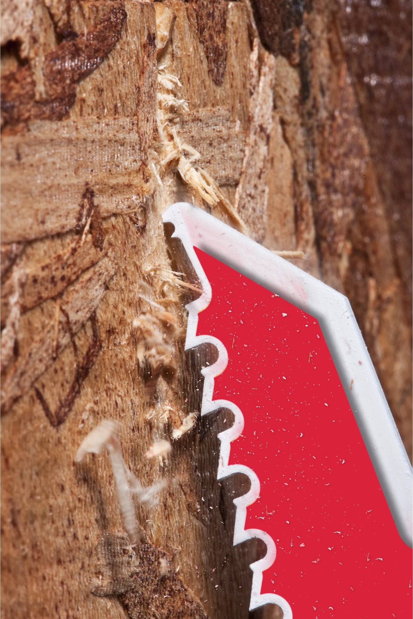 Fulla de serra de sabre 230 mm x 5 TPI, 5 unitats Milwaukee THE AX DEMOLITION HEAVY DUTY