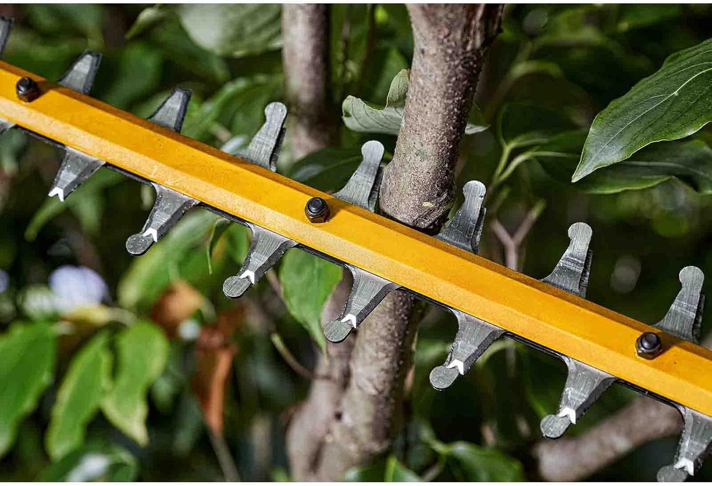 Tallabardisses XR Flexvolt 65cm Dewalt DCMHT573N