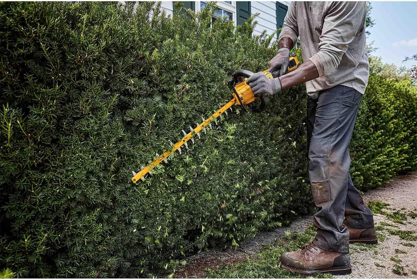 Tallabardisses XR Flexvolt 65cm Dewalt DCMHT573N