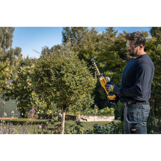 Tallabardisses compacte XR 18 V de 20 cm Dewalt DCMHT520N