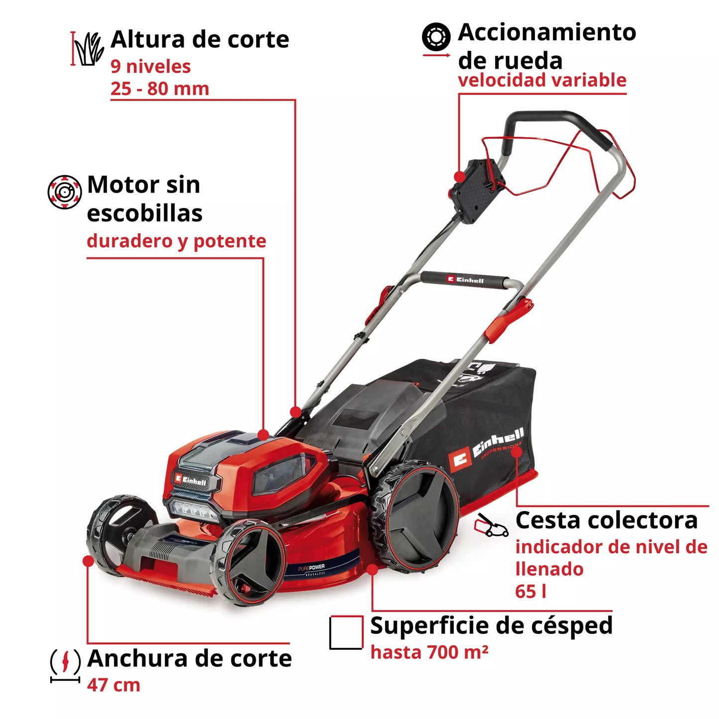 Tallagespa amb bateria amb 4bat 4,0Ah + 2 carregadors dobles GP-CM 36/47 S Li BL Einhell