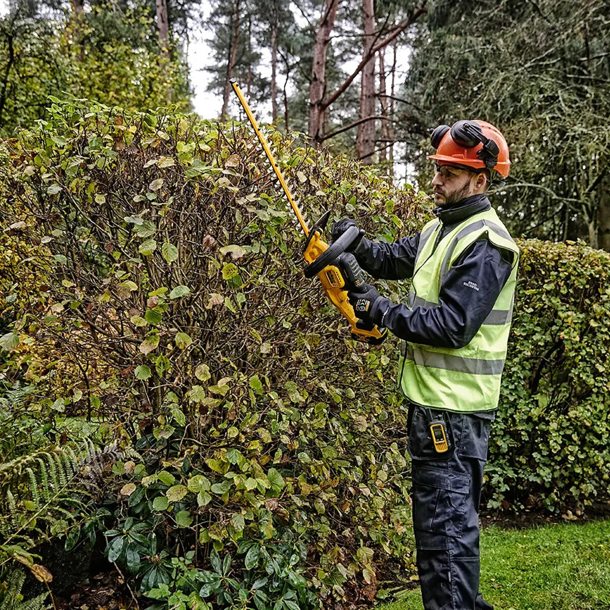 Tallabardisses XR 18V 55cm Dewalt DCMHT564N